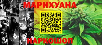 гидра Гатчина