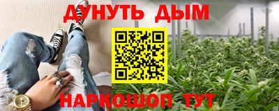 гидра Гатчина