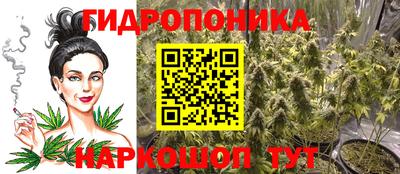 spice Гай