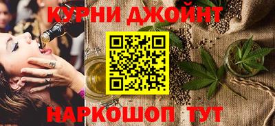 гидра Гатчина