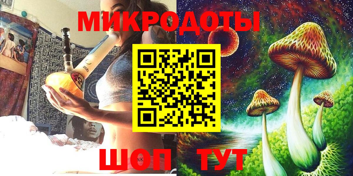 Псилоцибиновые грибы Psilocybe Миасс